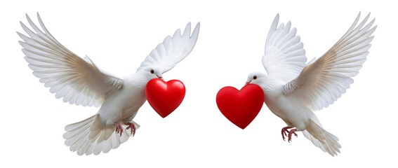 Set of white dove in flight with heart isolated on white background