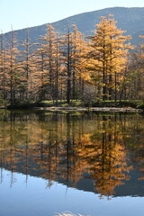 秋の上高地　明神池
