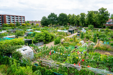 View of community gardens in the city
