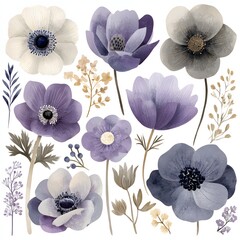 Assortment of Delicate and Charming Floral Illustrations