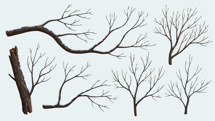 Obraz premium silhouette of tree