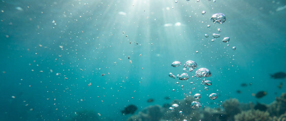 Lightfilled bubbles ascend amid colorful coral and tranquil waters, Sunshine illuminates rising bubbles as they move past blurred coral formations in calm ocean depths