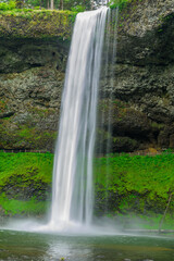 Obraz premium Silver Falls State Park, Oregon