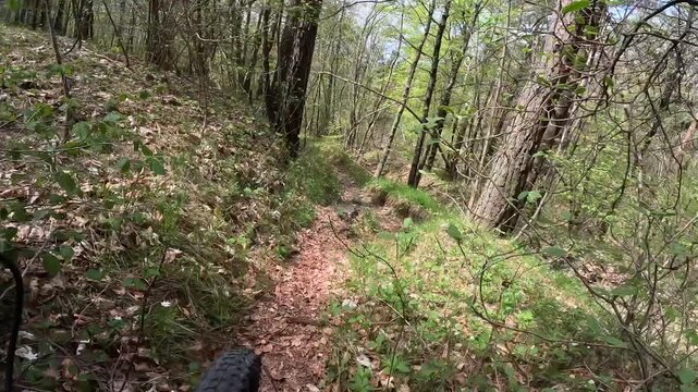 POV mountain bike descent on scenic medium‑difficulty alpine singletrack trail with rocks, roots and switchbacks in Friuli Venezia Giulia, Italy.