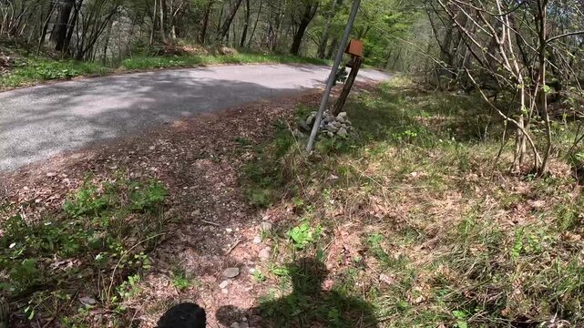 POV mountain bike descent on scenic medium‑difficulty alpine singletrack trail with rocks, roots and switchbacks in Friuli Venezia Giulia, Italy.