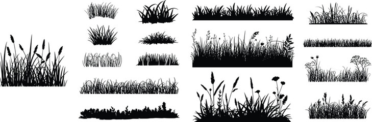 Grass and meadow silhouette set, wild field plants and weeds collection, natural landscape vegetation elements, minimal black design, cad drawing flat vector illustration © Hello there