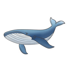 Sea whale illustration