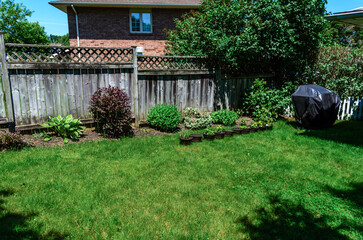 Backyard view of a lawn, garden, bbq and fence