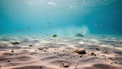 Underwater sea life scene with sandy ocean floor and small fish swimming in clear blue water