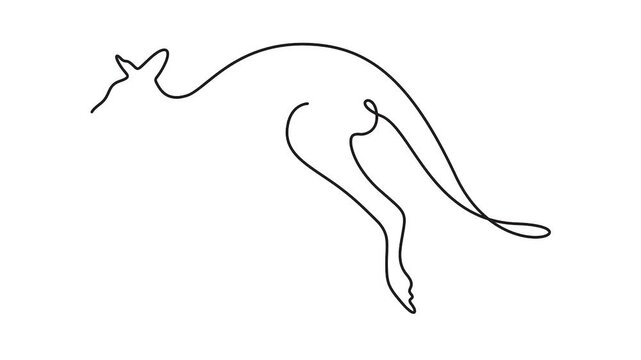 Self animated minimalist, single continuous line art drawing of a kangaroo, Full length single line art animation