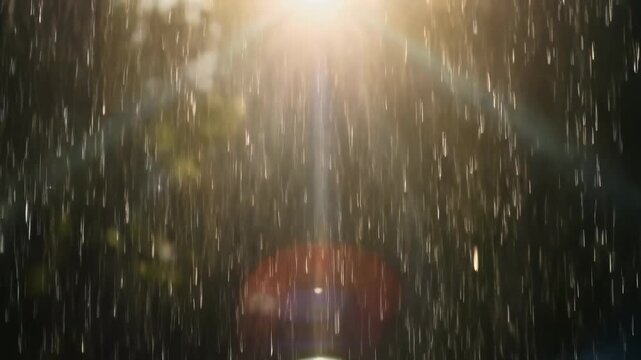 Sun shower effect: heavy rainfall illuminated by golden sun rays and dramatic lens flare against a dark background perfect for overlay or atmospheric texture.