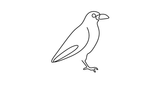 Self animated minimalist continuous one line drawing of a crow. Full length single line minimalist style drawing vector illustration