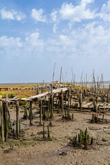 Ancient wooden walkways on stilts at the unique artisanal fishing port of Palafita da Carrasqueira during low tide in the Sado Estuary region.