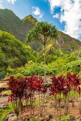 Magische Landschaften auf Maui