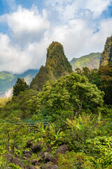 Magische Landschaften auf Maui