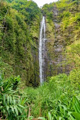 Magische Landschaften auf Maui