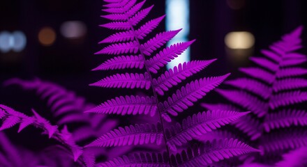 Purple fern foliage with dark bokeh background.
A close-up of vibrant purple fern fronds against a dark, moody background with soft light circles