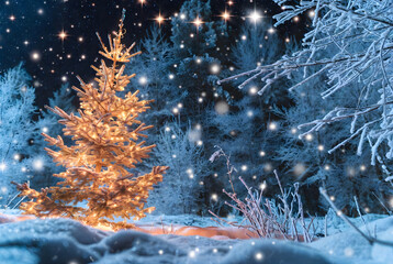 A snowy Christmas tree glowing under a starry winter night in a quiet forest landscape