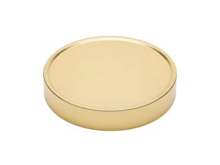 A beige circular object with a thin line around the edge