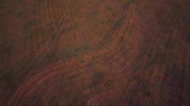 Sunrise nature drone shot