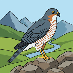 Eurasian Sparrowhawk Standing on a Rock with Mountain Landscape - Animal Character Vector Illustration 