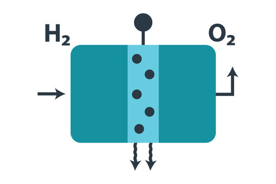 PEM Electrolyzer vector