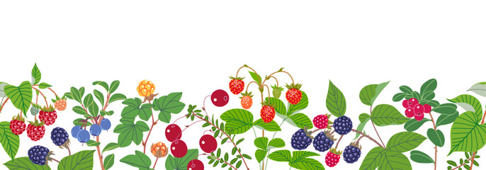 Vector Seamless Border with Forest and Bog Berrie