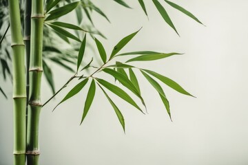 Fototapeta premium Green bamboo leaves and stems against soft neutral background, minimalist natural plant composition with calm zen mood and generous copy space