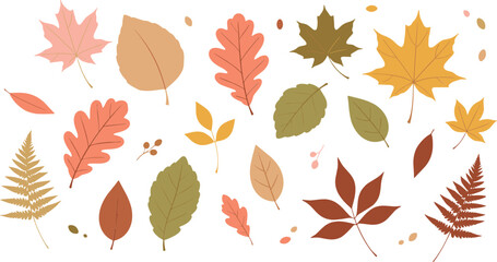 Decorative autumn foliage elements set with maple oak and fern leaves flat vector illustration © Sumon Creative