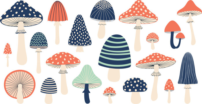 Decorative Mushroom Vector Illustration Collection Featuring Cute Forest Fungi Elements