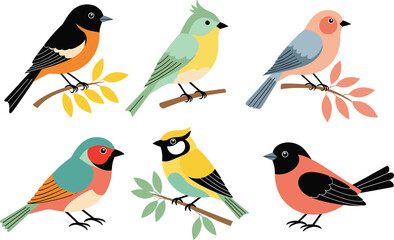 Decorative songbird collection featuring colorful birds on branches flat modern vector illustration