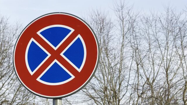 Parking Restriction Sign: A clear and concise no-parking sign is displayed prominently against a backdrop of bare winter trees and a pale sky.