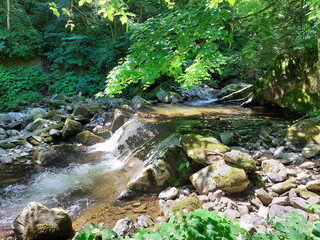 stream Lobnica on Pohorje mountain. Nature of Slovenia.