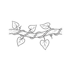 Obraz premium Hand Drawn Twisted Vine Wrapped Around Tree Branch With Leaves Black And White Line Art Sketch 
