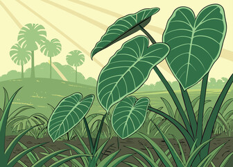 Obraz premium Tropical Jungle Landscape with Large Green Alocasia Leaves - Exotic Forest Nature Background with Sunbeams
