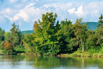 Obraz premium Peaceful river scene with lush green and autumnal trees along the bank, reflecting bright blue skies and fluffy white clouds, evoking a calm and natural outdoor setting.