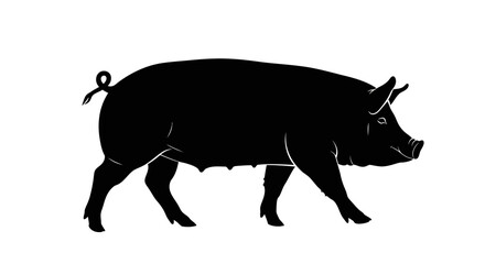 Silhouette of a Black Pig Walking Isolated on White Background Farm Animal Graphic for Livestock and Agriculture