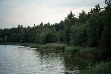Fototapeta premium Serene landscape of a calm lake bordered by a dense forest under a soft, overcast sky, reflecting natural tranquility.