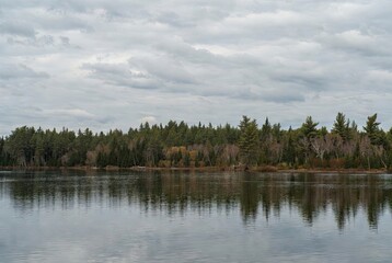 Obraz premium Peaceful lake with a dense forest of evergreen and autumn-tinted trees on the far shore under an overcast cloudy sky, creating a serene reflection on the water's surface