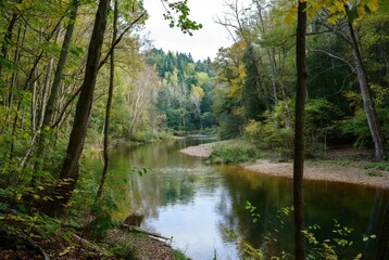 Obraz premium Peaceful river winding through a vibrant forest showing hints of autumn colors under a soft, cloudy sky, reflecting the natural beauty