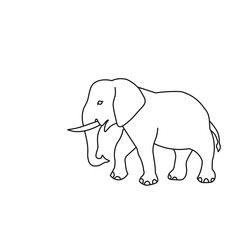 Fototapeta premium elephant vector illustration