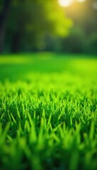 Emerald green grass, meticulously trimmed, sunlit , agriculture, texture