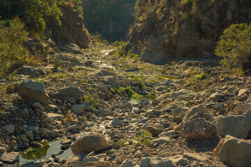 Dry riverbed with green lush vegetation in sunlight. Almogia, Malaga, Andalusia, Spain. © ysbrandcosijn