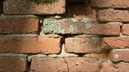Close Up View of a Weathered Rustic Brick Wall with Texture.
