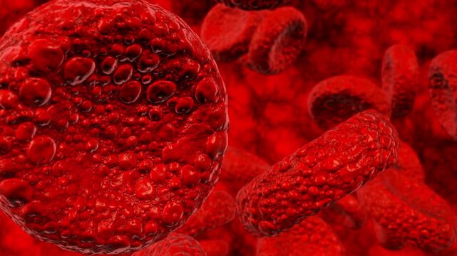 Red blood cells with abnormal morphology in close-up view