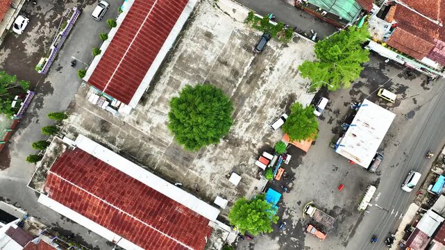 Urban courtyard with tree and rooftops
