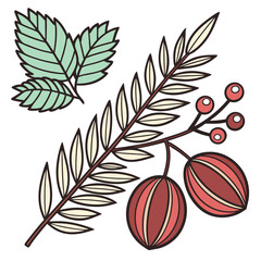 set of autumn leaves and fruits