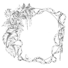 A round frame with vines, monstera leaves, flowers, and a butterfly. Isolated pencil illustration for event invitations, eco-hotel print design, poster printing, and menu design.