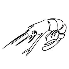 shrimp one line art doodle vector illustration