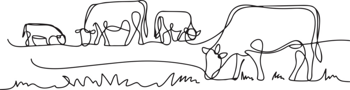Cows on pasture in One continuous line drawing.one line  vector illustration  with out background